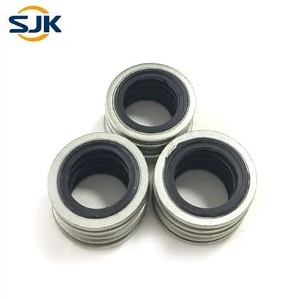 হাইড্রোলিক বন্ডেড সিল গ্যাসকেট