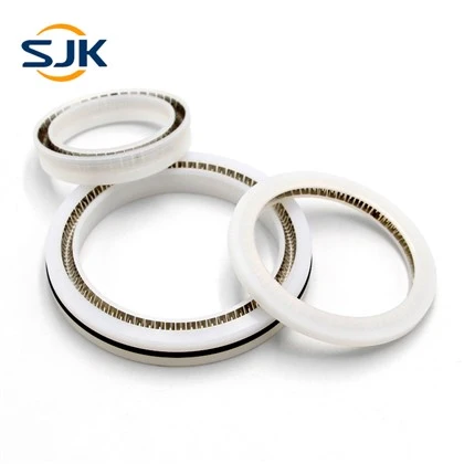 বসন্ত শক্তিযুক্ত PTFE সীল